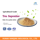 60% Tea Saponine